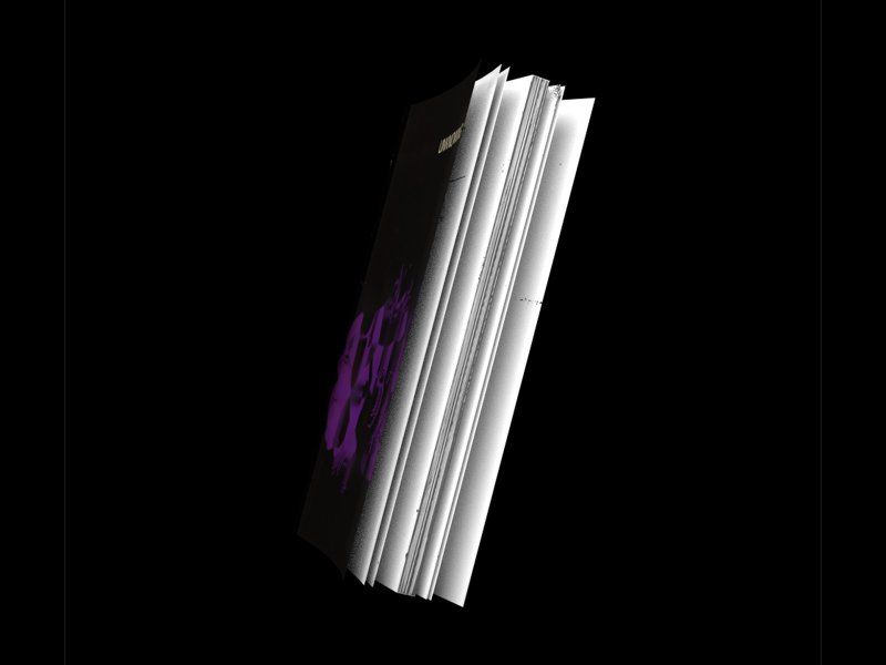 International Symposium of Electronic Art (ISEA)