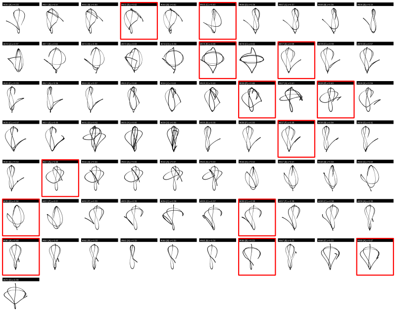 Morphological evolution graph