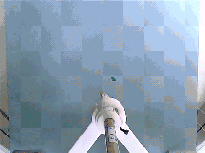 I Don't Know What I Think... 